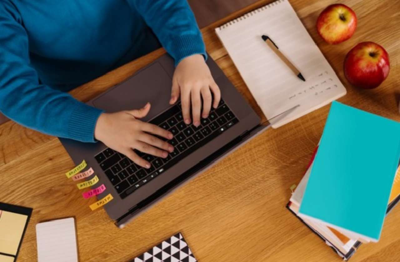 professional 1 on 1 lessons to student